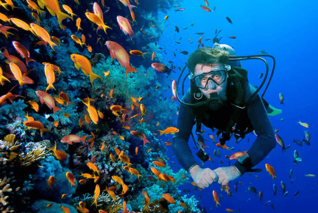 Andaman Nicobar Tour Package with Scuba Diving (6D/5N)