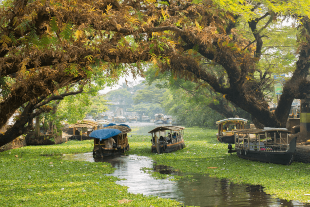 Kerala Sightseeing Tour -To The Kerala Backwaters (7D/6N)