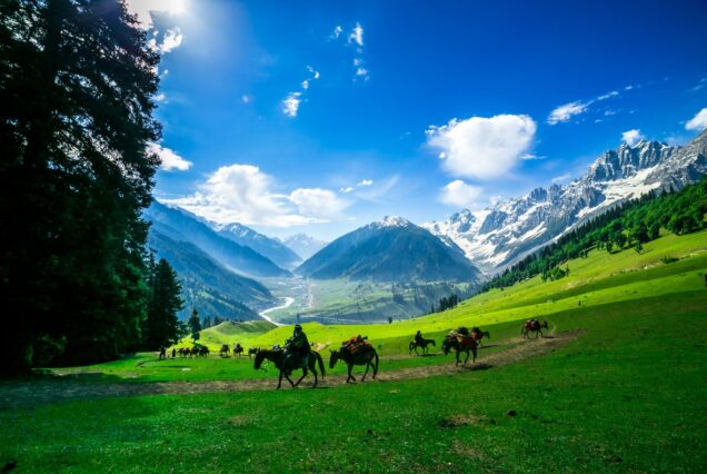 The Heaven on Earth-Kashmir (7 Days and 6 Nights)